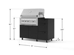NewAge Outdoor Kitchens Outdoor Grill Island Stainless-Steel 3-Piece Cabinet Set with Casters and 3-Drawer, Grill Cabinet and Platinum Grill - (Liquid Propane) 