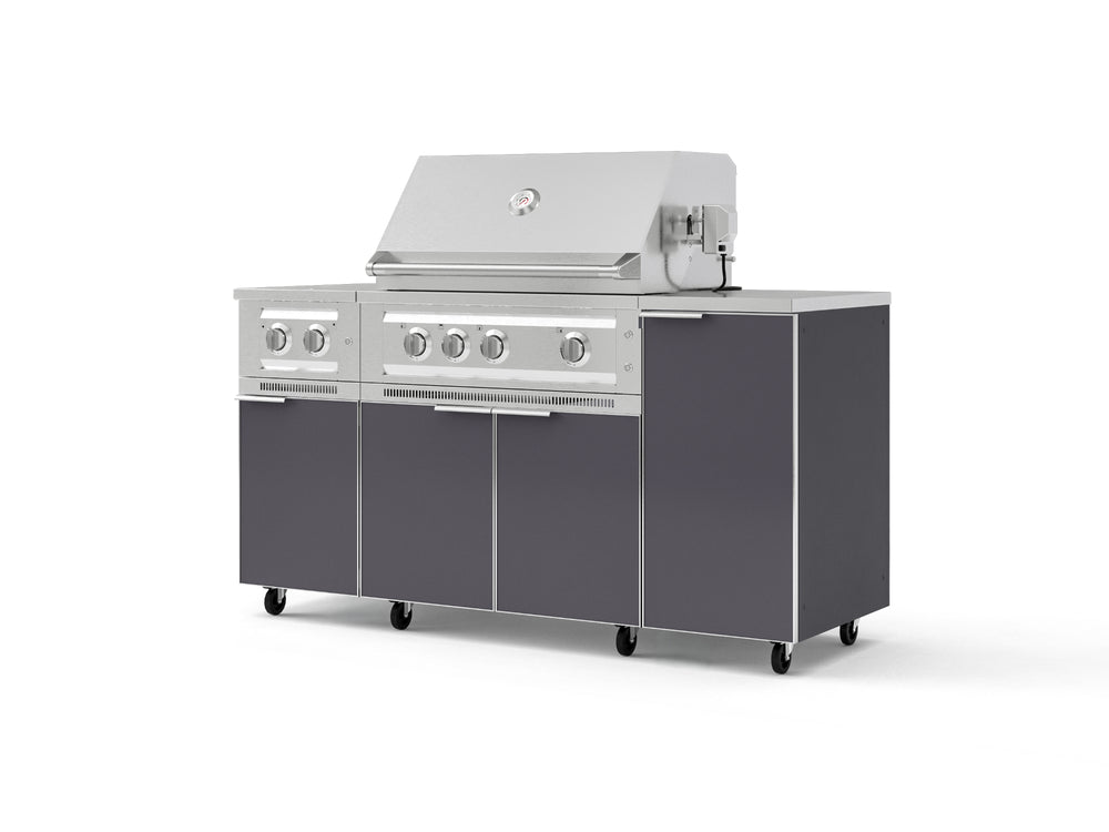 NewAge Outdoor Kitchens Outdoor Grill Island Aluminum 6-Piece Cabinet Set with Casters and 1-Door, Grill Cabinet, Platinum Grill, Dual Side Burner, Countertop-74857-Garage Giant