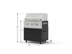 NewAge Outdoor Kitchens Stainless Steel 2-Piece Cabinet set with Casters, Grill Cabinet and Performance Grill-72897-Garage Giant 