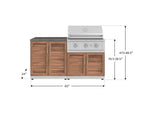 NewAge Outdoor Kitchens Stainless Steel 4-Piece Cabinet Set with 2 Door, Grill Cabinet, Performance Grill and Countertop-71817-Garage Giant 