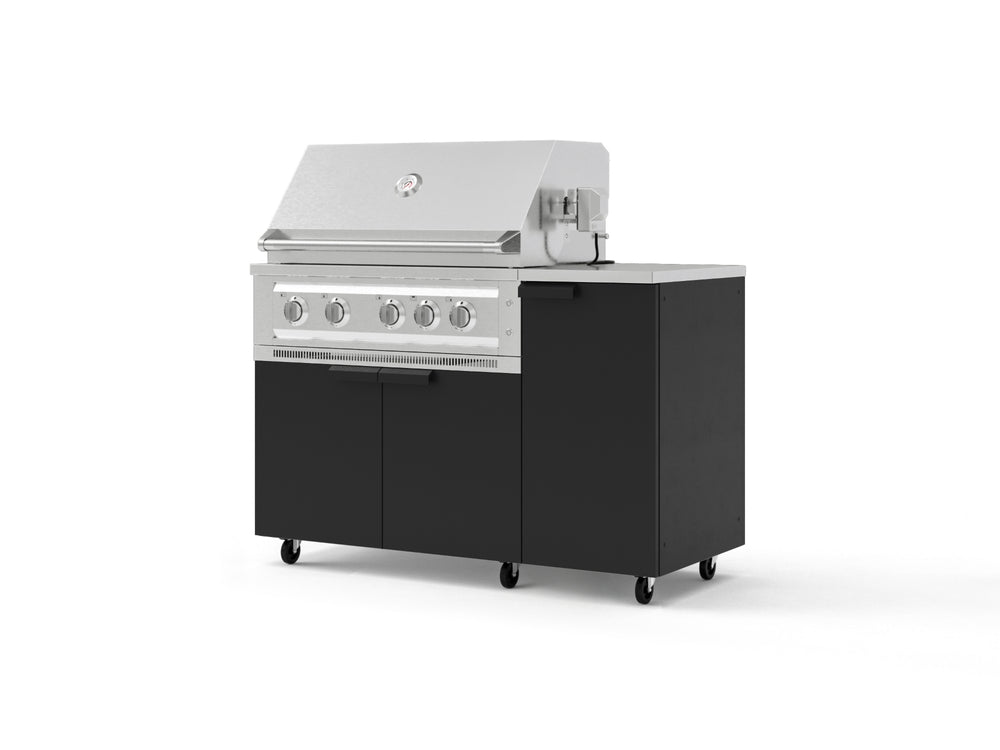 NewAge Outdoor Kitchens Outdoor Grill Island Stainless-Steel 4-Piece Cabinet Set with Casters and 1 Door, Grill Cabinet, Platinum Grill, Countertop | 77725
