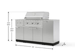 NewAge Outdoor Kitchens Outdoor Grill Island Stainless-Steel 6-Piece Cabinet Set with 1-Door, Grill Cabinet, Performance Grill, Side Burner and Countertop-73995-Garage Giant 