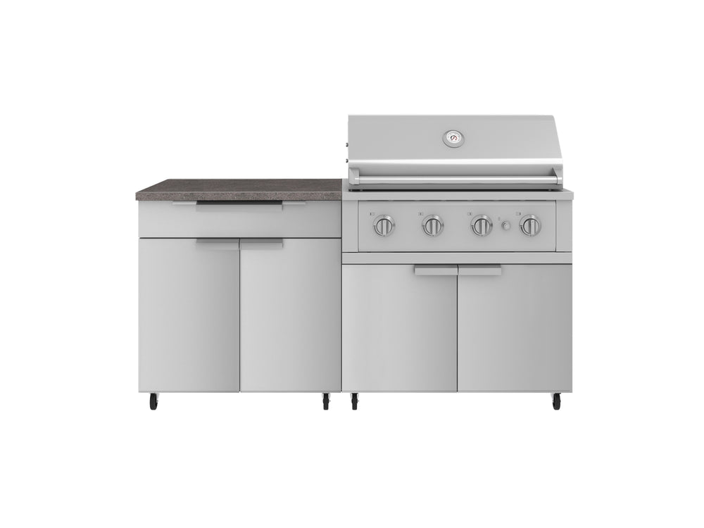 NewAge Outdoor Kitchens Stainless Steel 4-Piece Cabinet Set with Caster and Bar, Grill Cabinet, Platinum Grill, and Countertop-72283-Garage Giant