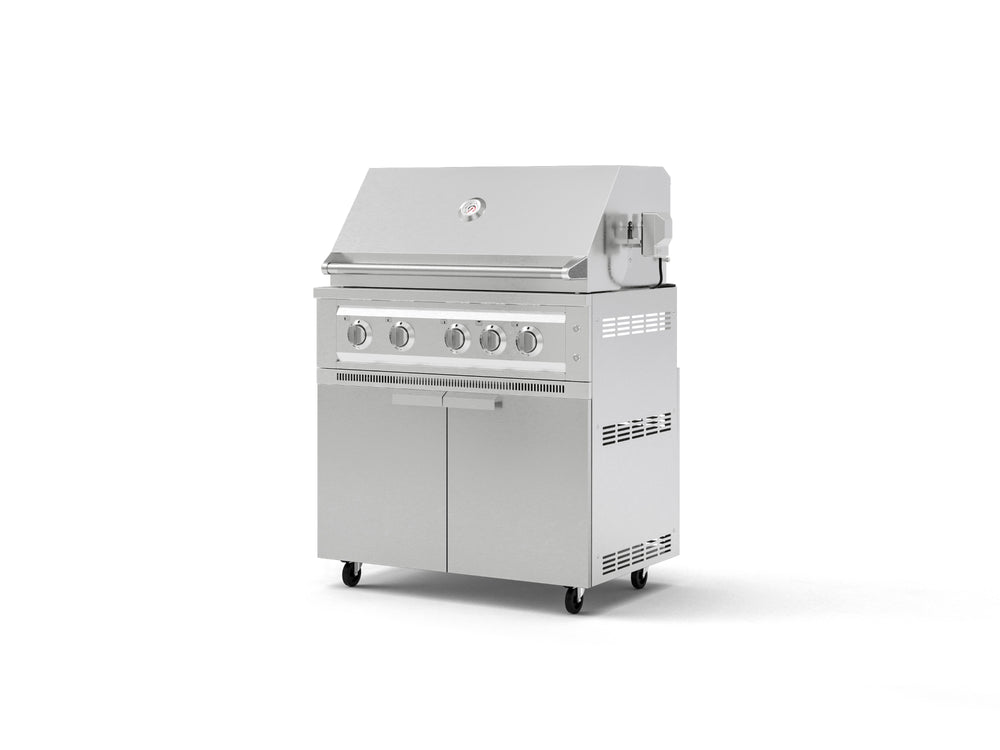 NewAge Outdoor Kitchens Stainless Steel 2-Piece Cabinet set with Casters Grill Cabinet and Platinum Grill-72952-Garage Giant