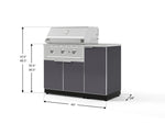 NewAge Outdoor Kitchens Outdoor Grill Island Aluminum 4-Piece Cabinet Set with 1 Door, Grill Cabinet, Performance Grill and Countertop 