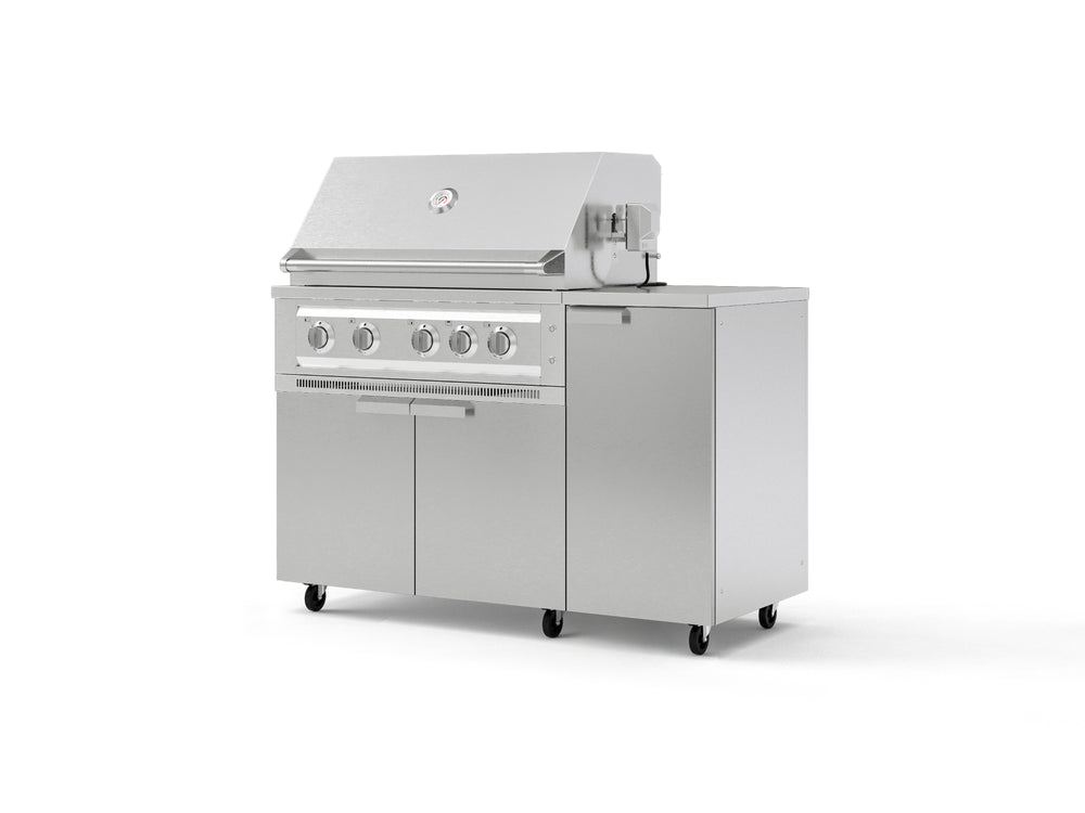 NewAge Outdoor Kitchens Outdoor Grill Island Stainless-Steel 4-Piece Cabinet Set with Casters and 1 Door, Grill Cabinet, Platinum Grill, Countertop | 74828