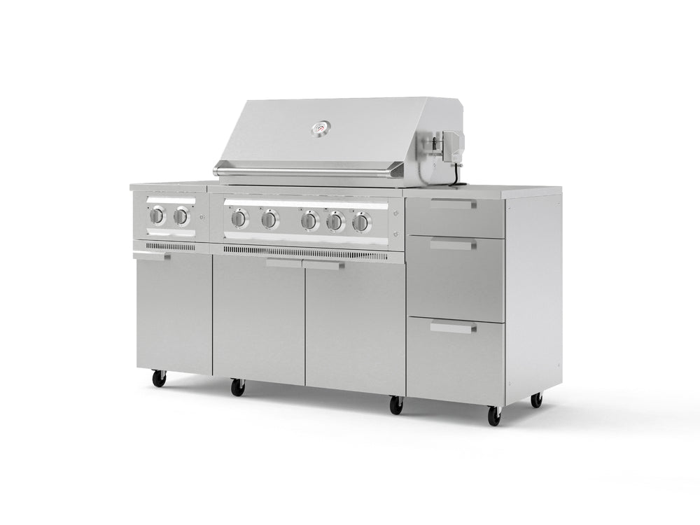 NewAge Outdoor Kitchens Outdoor Grill Island Stainless-Steel 6-Piece Cabinet Set with Casters and 3-Drawer, Grill Cabinet, Platinum Grill, Dual Side Burner, Countertop-74882-Garage Giant