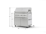 NewAge Outdoor Kitchens Stainless Steel 2-Piece Cabinet set with Casters Grill Cabinet and Platinum Grill-72953-Garage Giant 