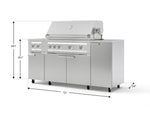 NewAge Outdoor Kitchens Outdoor Grill Island Stainless-Steel 6-Piece Cabinet Set with Casters and 1-Door, Grill Cabinet, Platinum Grill, Dual Side Burner, Countertop-74865-Garage Giant 