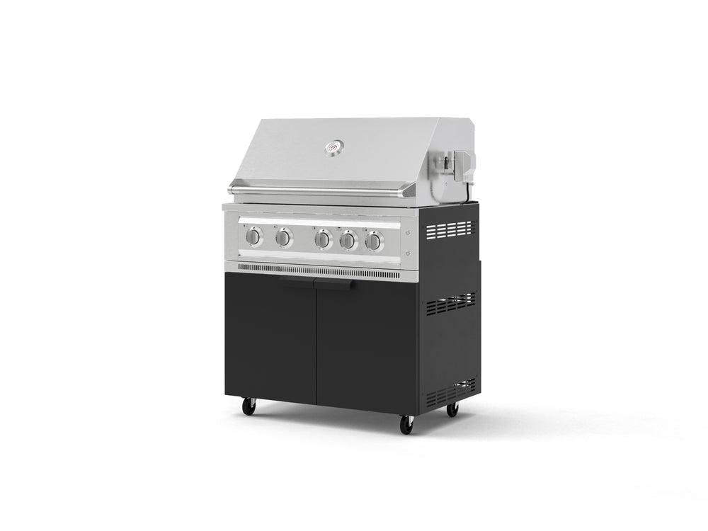 NewAge Outdoor Kitchens Stainless Steel 2-Piece Cabinet set with Casters Grill Cabinet and Platinum Grill-72904-Garage Giant