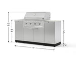NewAge Outdoor Kitchens Outdoor Grill Island Stainless-Steel 5-Piece Cabinet Set with Sink, 1 Door, Grill Cabinet, Performance Grill and Stainless Steel Countertop - (Natural Gas) 
