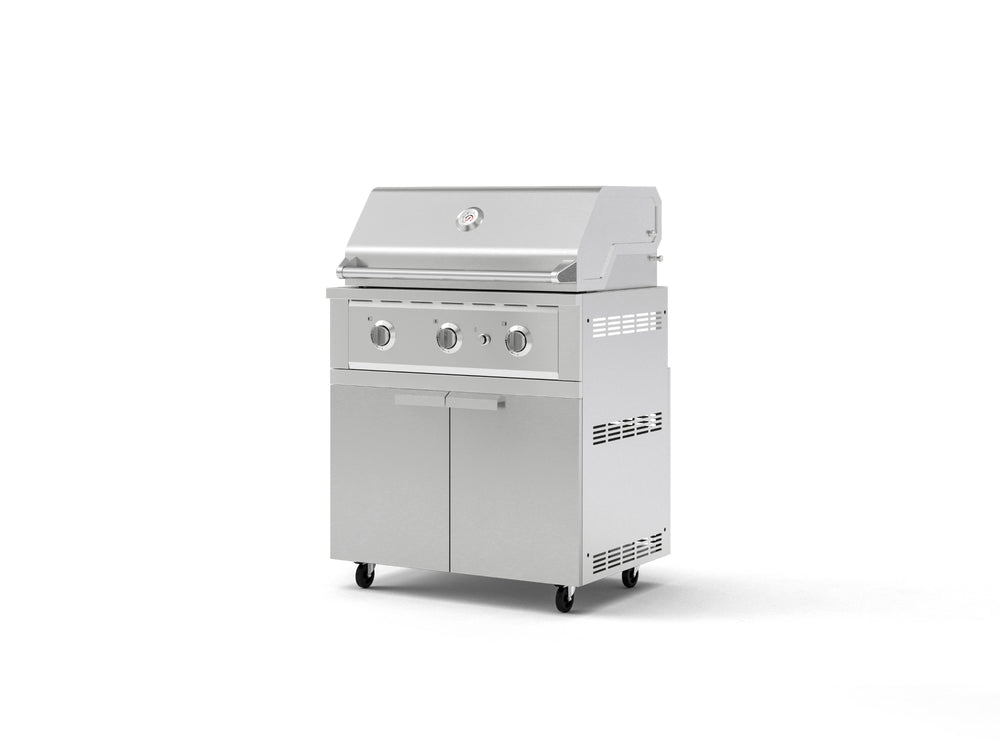 NewAge Outdoor Kitchens Stainless Steel 2-Piece Cabinet set with Casters, Grill Cabinet and Performance Grill-72945-Garage Giant