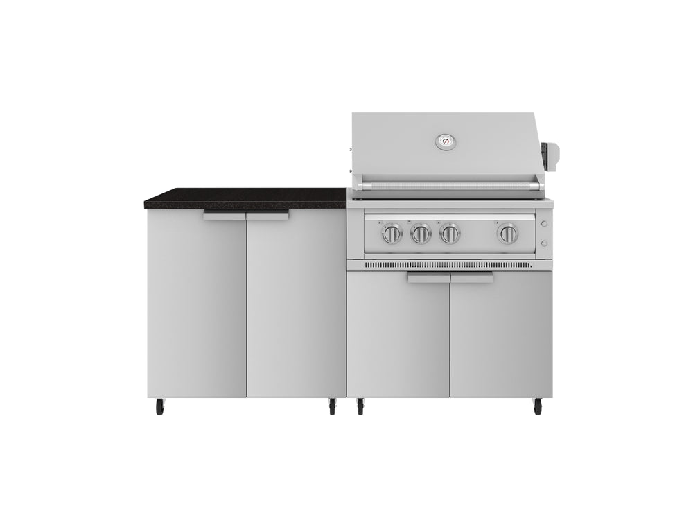NewAge Outdoor Kitchens Stainless Steel 4-Piece Cabinet Set with Caster and 2 Door, Grill Cabinet, Platinum Grill, Countertop-72459-Garage Giant