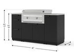 NewAge Outdoor Kitchens Classic Series 6-Piece Griddle Island · 304 Stainless Steel · SS Door · Platinum Griddle 