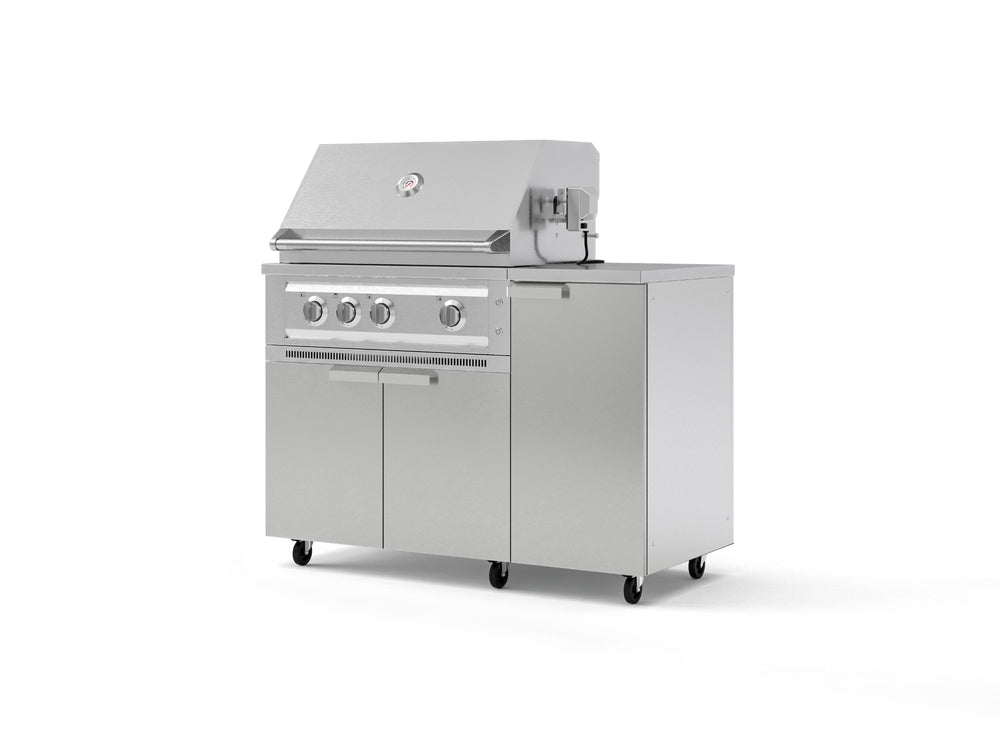 NewAge Outdoor Kitchens Outdoor Grill Island Stainless-Steel 4-Piece Cabinet Set with Casters and 1 Door, Grill Cabinet, Platinum Grill, Countertop | 74827