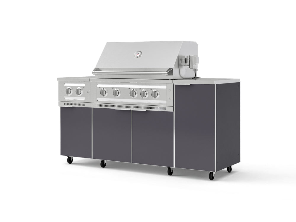 NewAge Outdoor Kitchens Outdoor Grill Island Aluminum 6-Piece Cabinet Set with Casters and 1-Door, Grill Cabinet, Platinum Grill, Dual Side Burner, Countertop-74858-Garage Giant