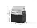NewAge Outdoor Kitchens Stainless Steel 2-Piece Cabinet set with Grill Cabinet and Platinum Grill-74787-Garage Giant 