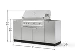 NewAge Outdoor Kitchens Outdoor Grill Island Stainless-Steel 5-Piece Cabinet Set with Sink, 1 Door, Grill Cabinet, Platinum Grill and Stainless Steel Countertop - (Natural Gas) 