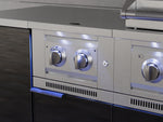 NewAge Outdoor Kitchens Stainless Steel Platinum Dual Side Burner-67191-Garage Giant 