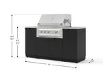 NewAge Outdoor Kitchens Outdoor Grill Island Stainless-Steel 6-Piece Cabinet Set with 1 Door, Grill Cabinet, Platinum Grill and Countertops 