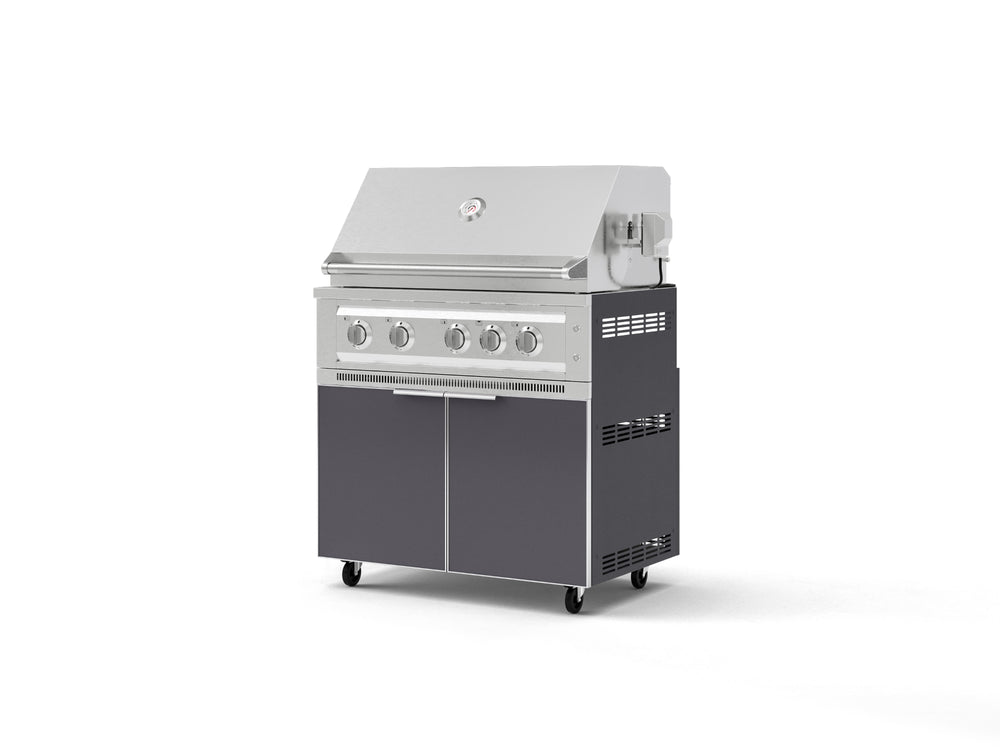 NewAge Outdoor Kitchens Aluminum 2-Piece Cabinet Set with Casters, Grill Cabinet and Platinum Grill-72940-Garage Giant